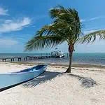Beach with palm tree, boat, and pier on clear ocean day