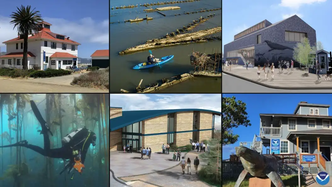 US National Marine Sanctuaries Get $50M In Additional Funding