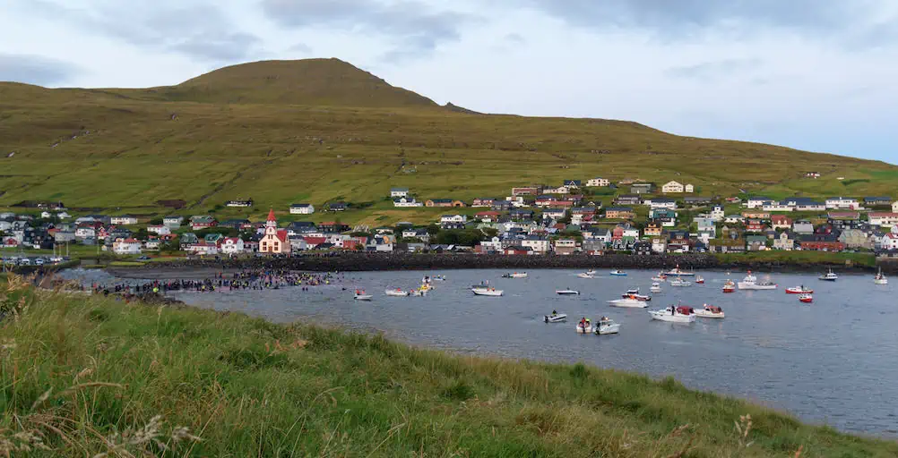 Fishing boats chasing whales ashore during whale hunt in Faroe Islands (Adobe Stock)