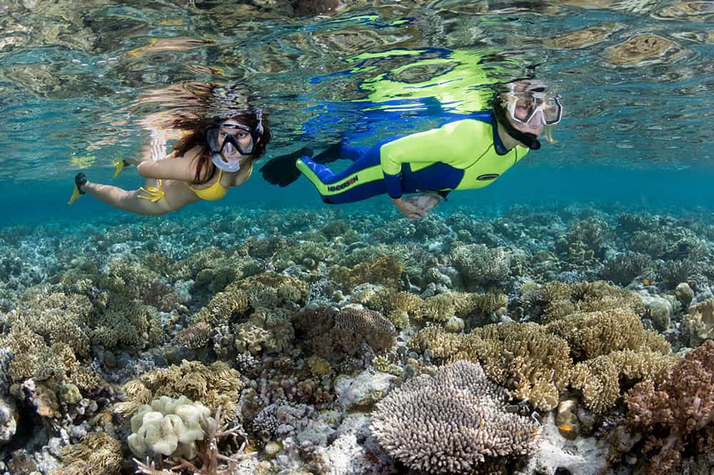 Twilight Wonders: Snorkeling at Wakatobi's Jetty Bar