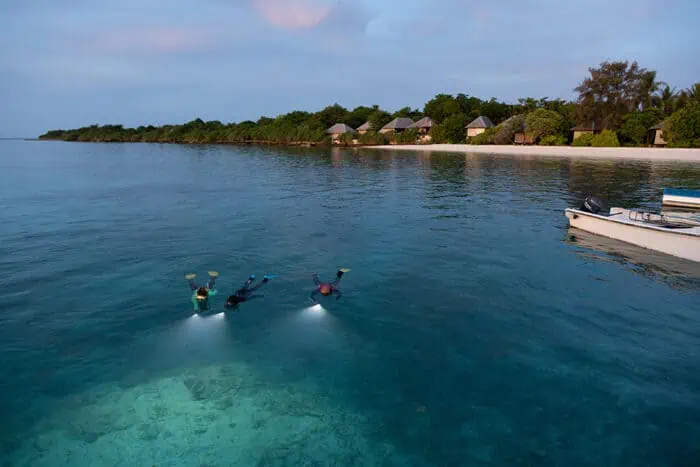 Twilight Wonders: Snorkeling at Wakatobi's Jetty Bar