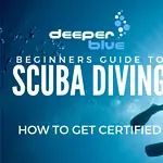 Beginner’s Guide to Scuba Diving Certification Tips and Techniques