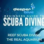 Beginner’s Guide to Scuba Diving for Opti Enthusiasts