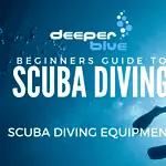 Beginner’s Guide to Scuba Diving