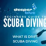 Beginner’s Guide to Scuba Diving and Drift Diving Techniques