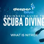 Beginner’s Guide to Scuba Diving with Nitrox