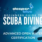 Beginner’s Guide to Scuba Diving with Open Water Certification