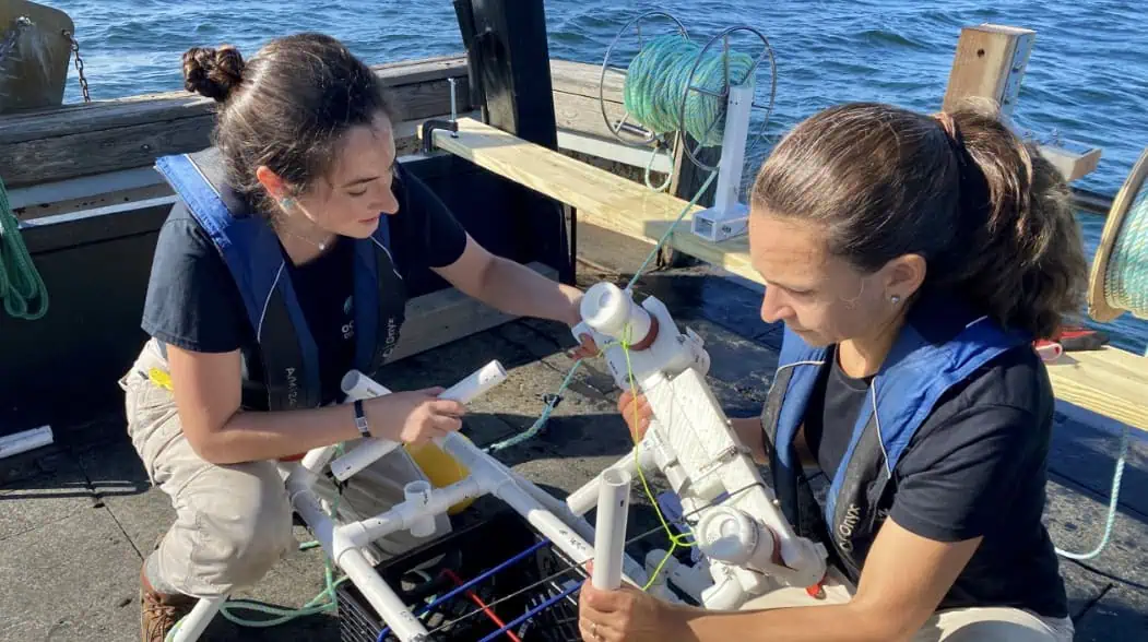 NOAA, Ocean Discovery League to advance low-cost, equitable deep-ocean exploration (Featured Image credit: Susan Poulton/Ocean Discovery League)