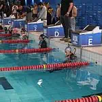 Competitive swimmers preparing for race start at the pool.