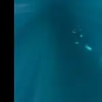 Deep Blue Diver Exploring Underwater