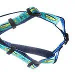 Swim Harness for Freediving and Snorkeling