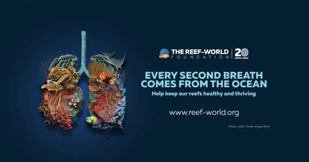 Reef-World Foundation