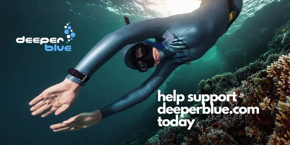 DeeperBlue.com Introduces New Supporter Options: Join Us in Our Mission!
