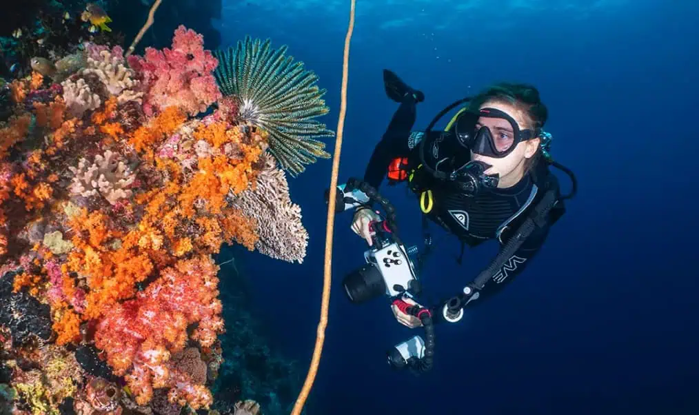 Julia Mellers (Image credit: Wakatobi Resort)
