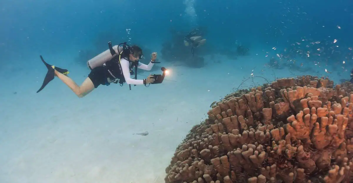 PADI Diver and NASA Astronaut Nicole Stott Leads Dive Event in the Maldives