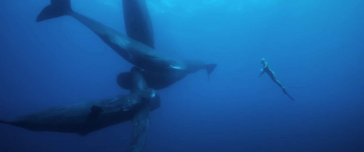 Paramount Movies To Release New 'Freediver' Documentary On Alexey Molchanov  - DeeperBlue.com