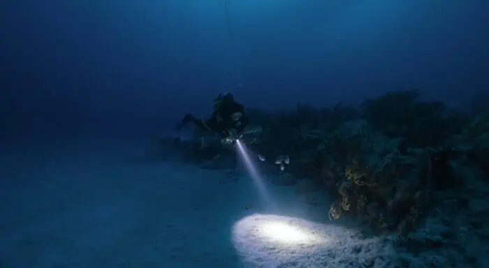 Diver diving a coral reef at night (Adobe Stock)