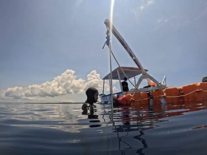 Review: Autonomous Depth Training at Freedive SuperHOME Freediver Sarang Lee diving off of Freedive SuperHOME's platform.