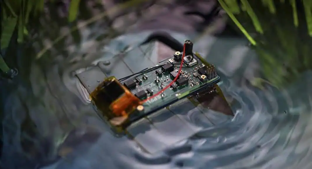 Miniature Robot Inspired by Marine Flatworms (Image credit: EPFL-LMTS)