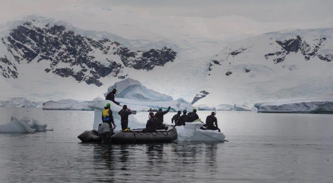 Snorkeling the Arctic (Adobe Stock)