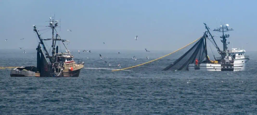 Commercial Fishing (Adobe Stock)