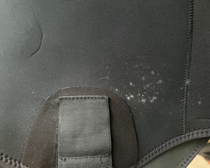 Mold on the inner lining of a freediving wetsuit.
