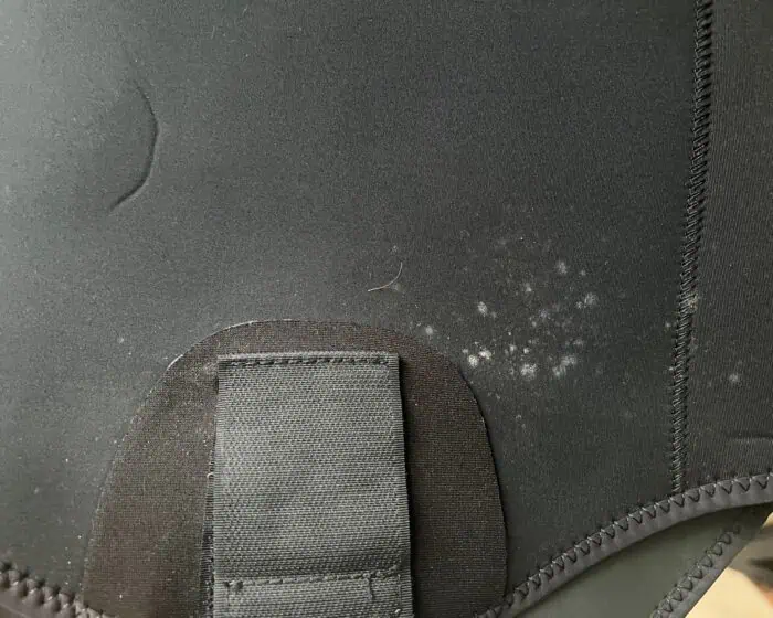 Mold on the inner lining of a freediving wetsuit.