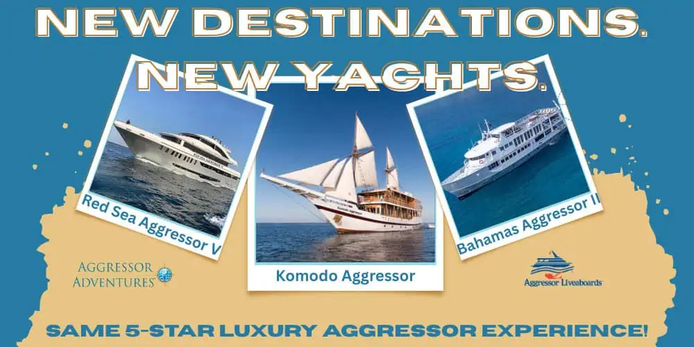 Aggressor Adventures Announces Three New Liveaboards in the Red Sea, Komodo, Bahamas (Image credit: Aggressor Adventures)