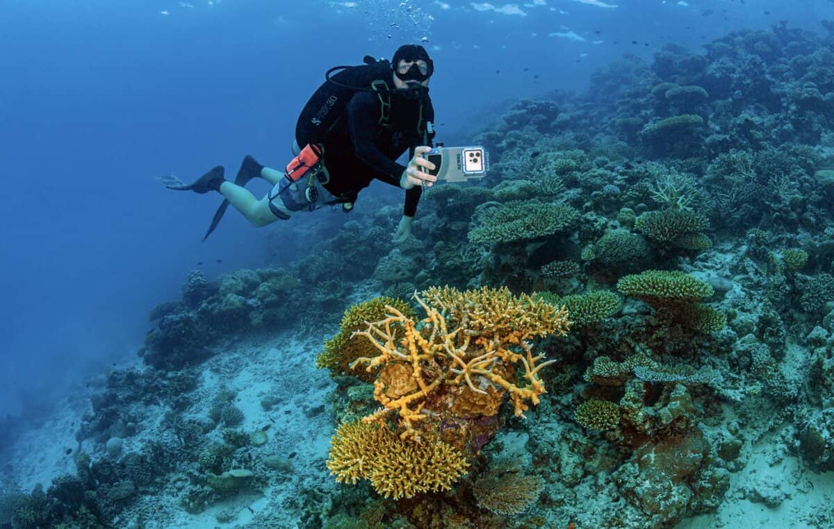 SeaLife Unveils New SportDiver S Smartphone Housing (Image credit: Tobias Friedrich)