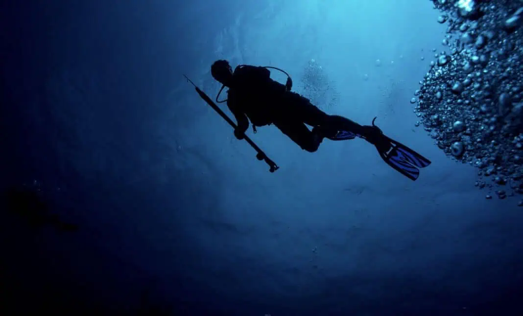 Scuba Spearfishing (Adobe Stock)