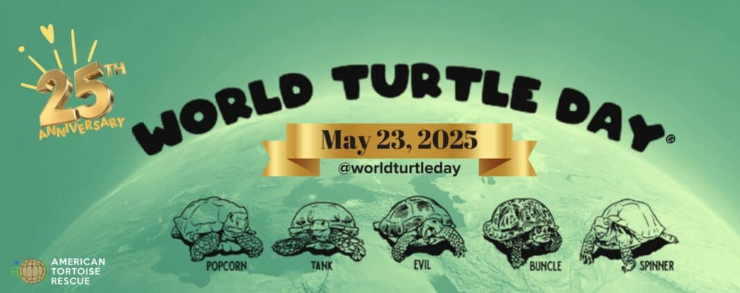 World Turtle Day 2025