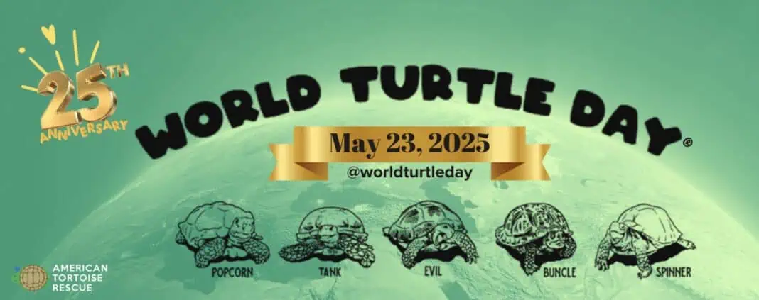 World Turtle Day 2025