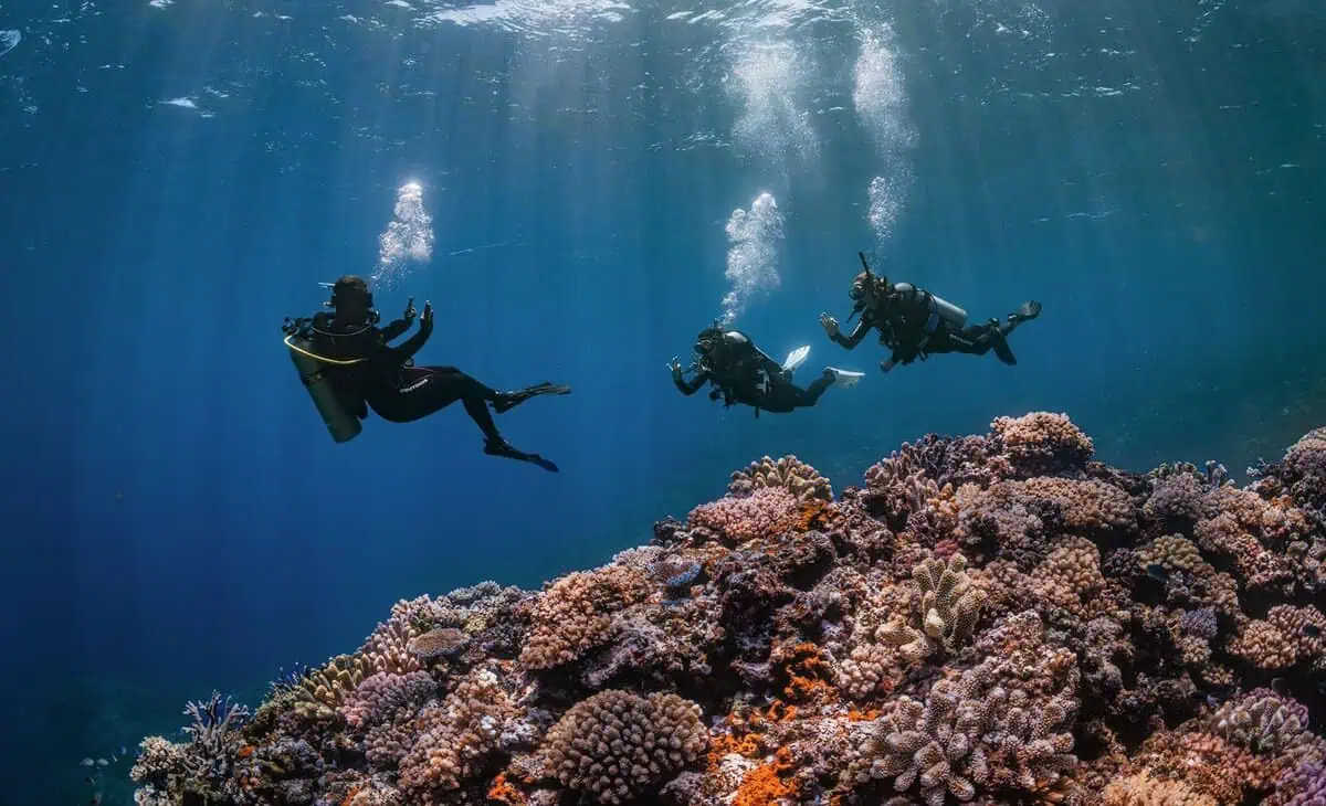 PADI Launches 2025 Master Scuba Diver Challenge PADI Launches 2025 Master Scuba Diver Challenge