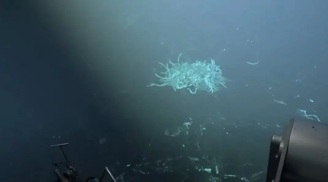 Alvin captures underwater volcanic eruption