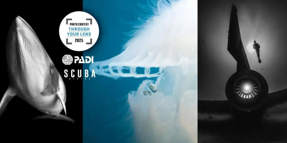 Scuba Diving Magazine Now Accepting Entries For 2025 'Through Your Lens' Photo Contest
