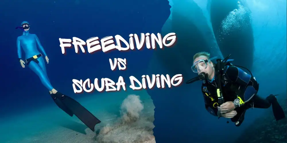 Freediving vs Scuba Diving