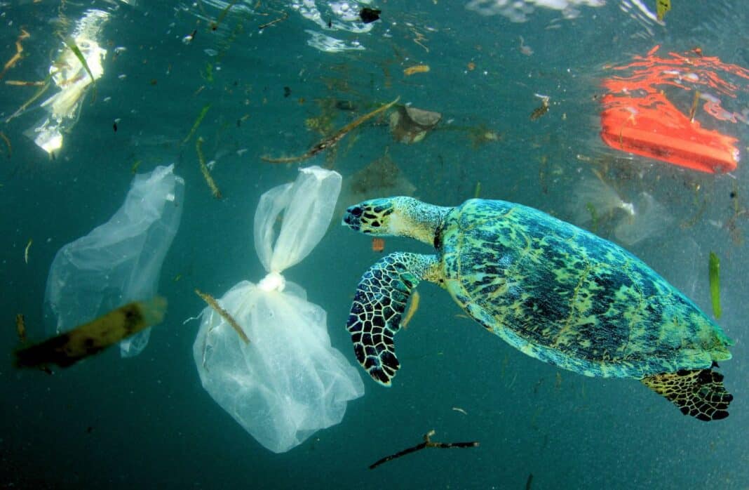 Plastic in the ocean (Adobe Stock)