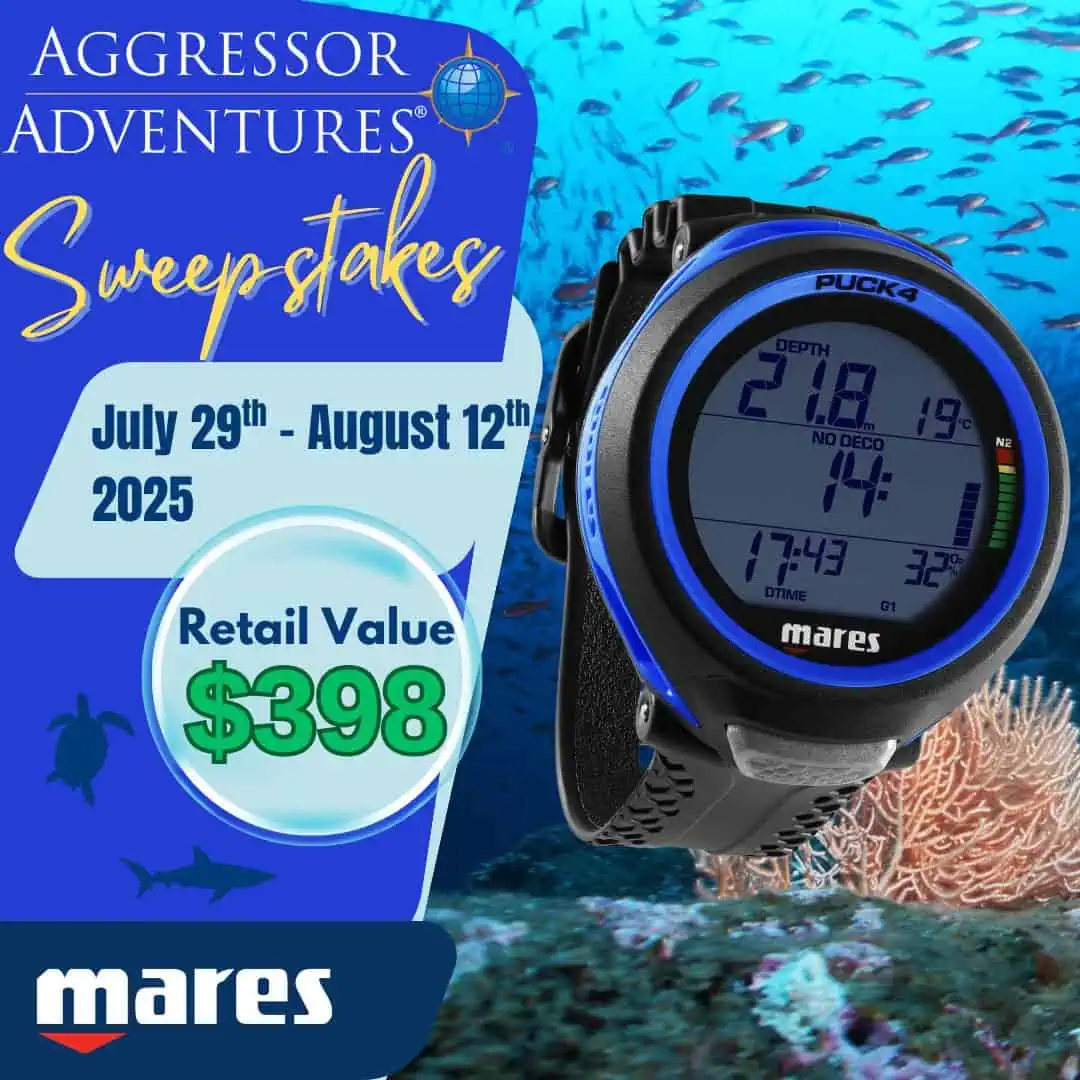 Aggressor Mares Sweepstakes