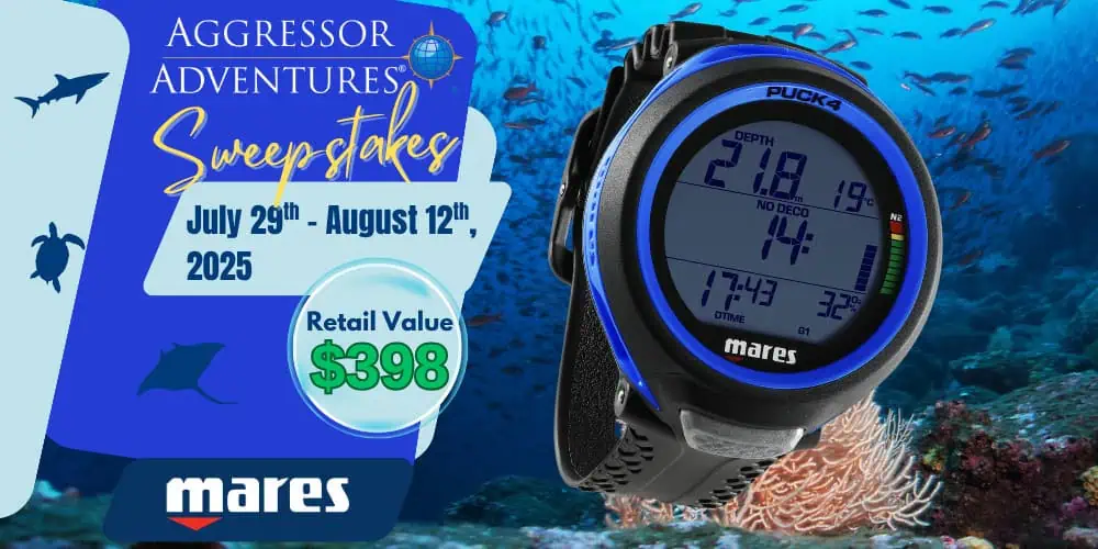 Aggressor Mares Sweepstakes