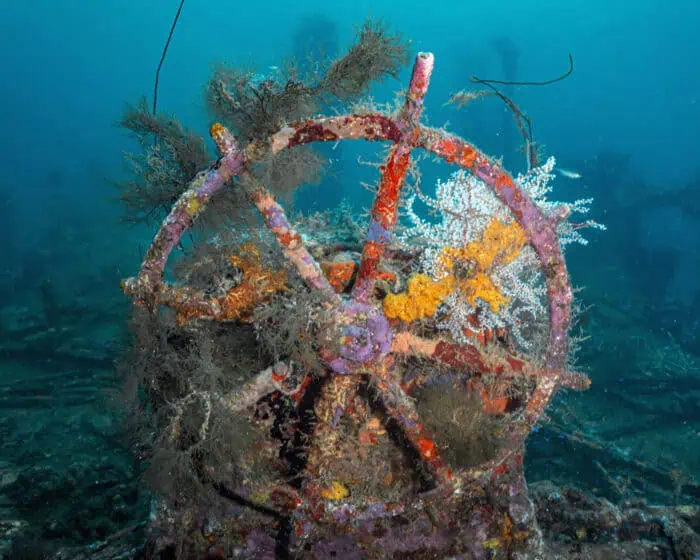 Martinique The Nahoon Helm Wheel – Photo by Nola Schoder