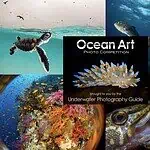 Underwater Ocean Art Photography Competition