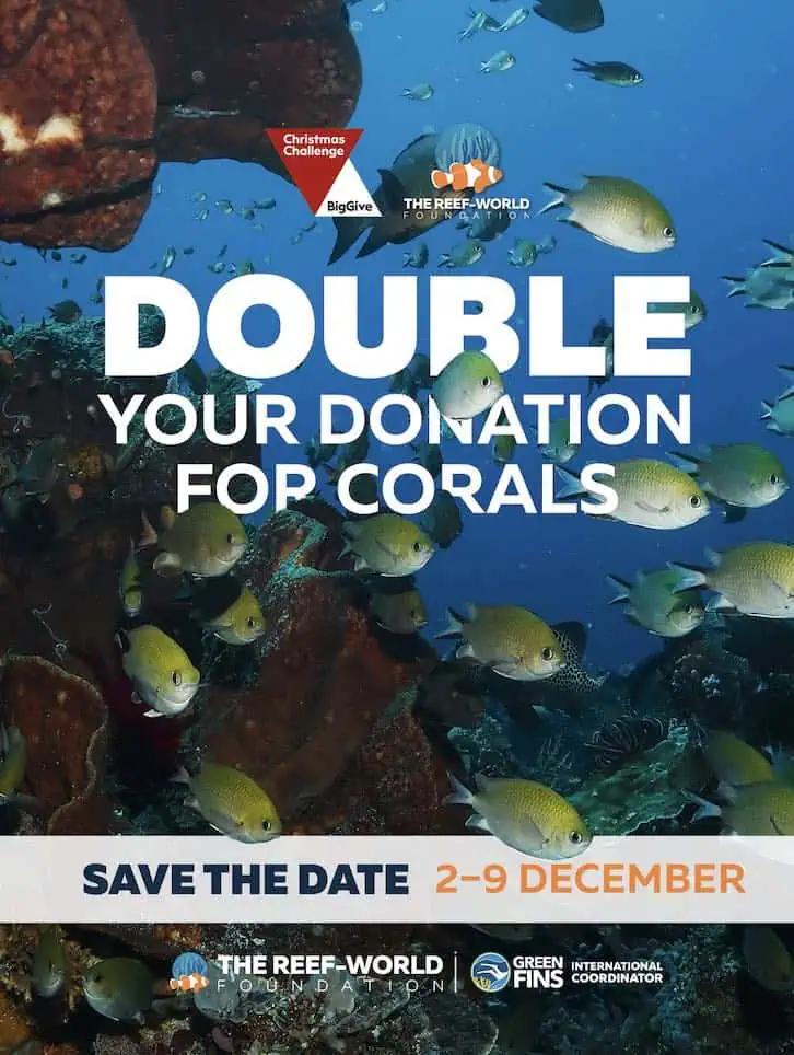 Reef-World Foundation 2025 Big Give Christmas Challenge
