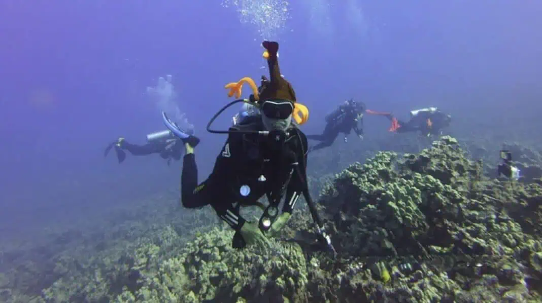 Kerwin Louis in Hawaii in a turkey hat (Image courtesy Marin Scuba Club)