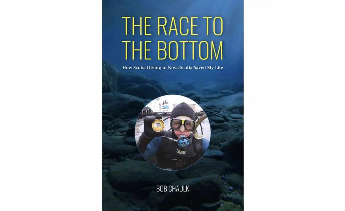 Race to the Bottom by Bob Chaulk