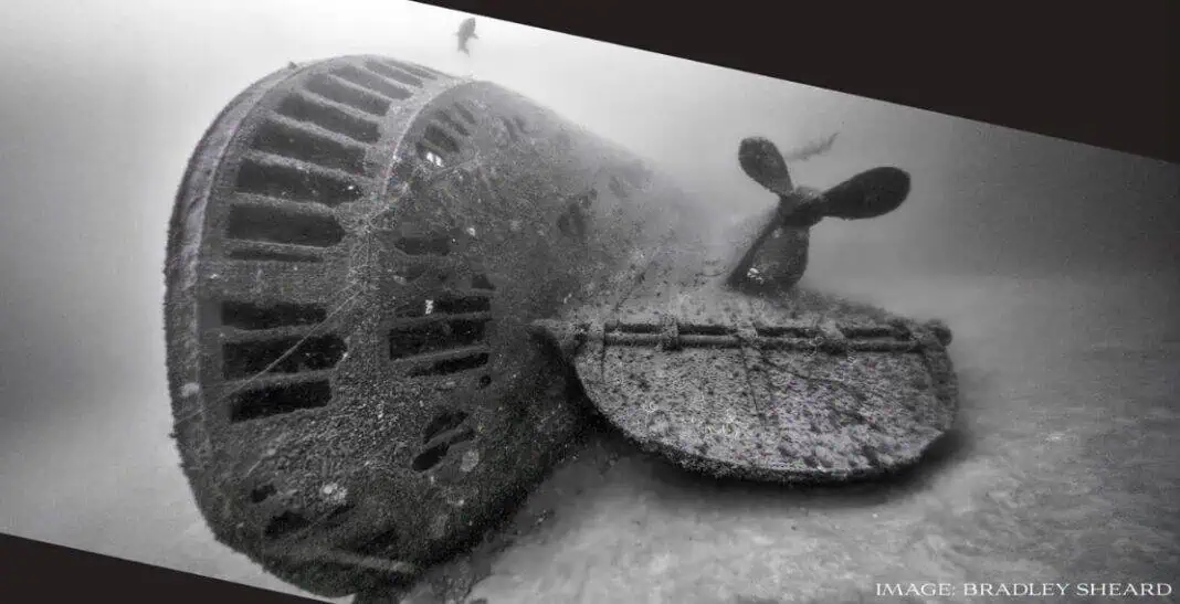Image credit: Bradley Sheard/Boston Sea Rovers