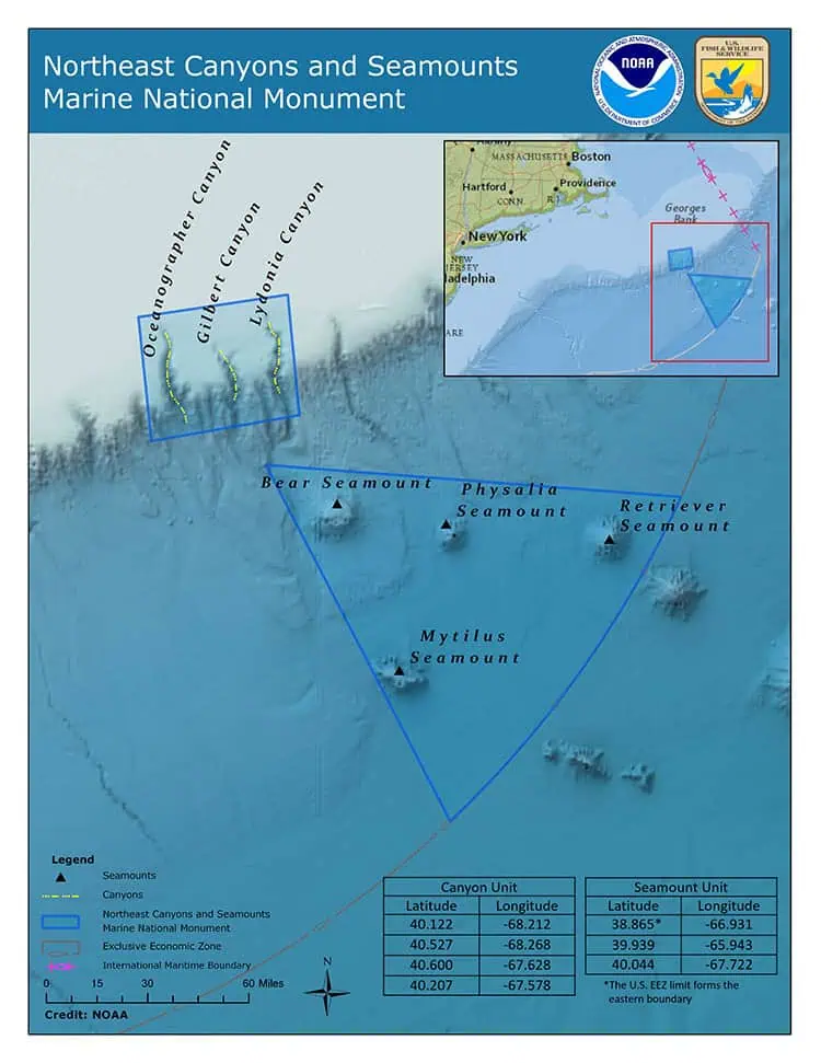 Northeast Canyons and Seamounts Marine National Monument (Image credit: NOAA)
