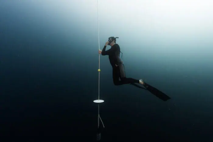 A student pauses at the end of the line while freediving.