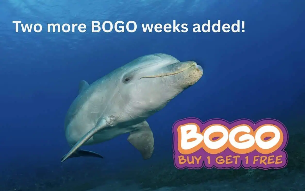 Two More Departures Released For BOGO Offer For Caribbean Explorer II