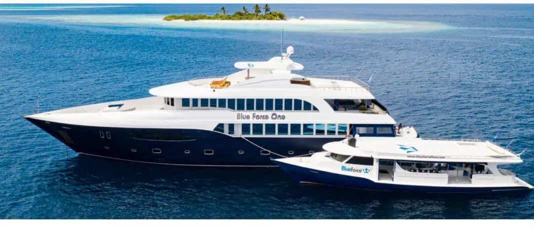 Despite Gulf Conflict, Blue Force Liveaboard Trips To Maldives And Red Sea Continue