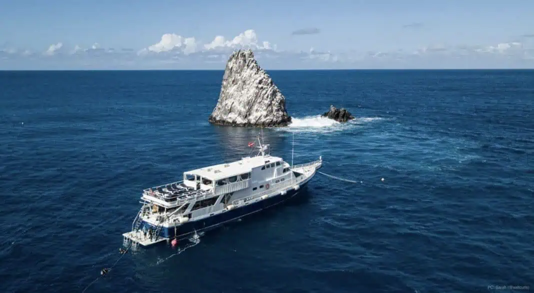 Explorer Ventures Fleet BOGO Sale